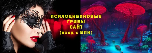 тгк Горняк
