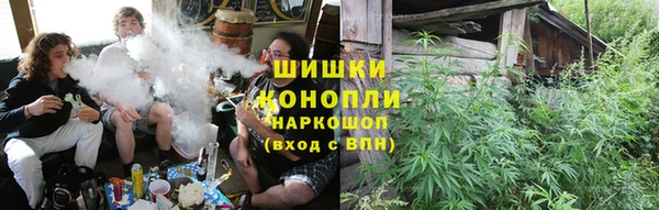 тгк Горняк