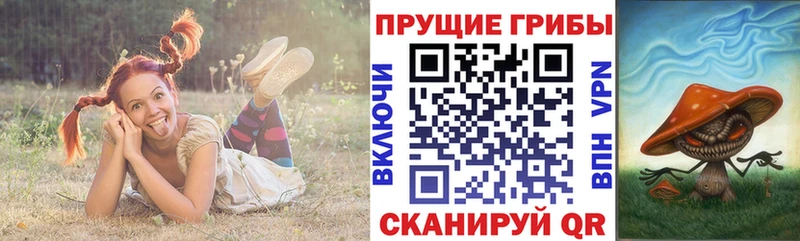 Псилоцибиновые грибы Psilocybe  где купить наркотик  Брянск 